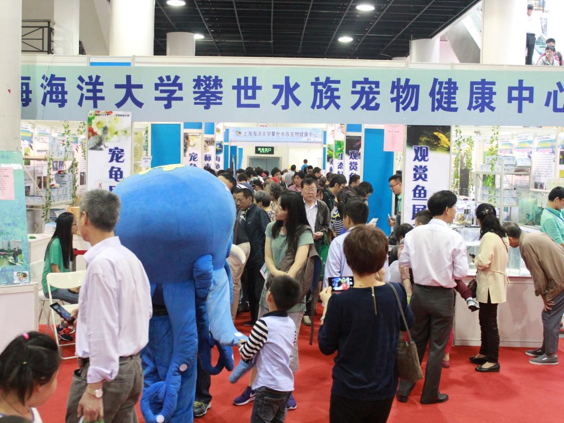 来冰球突破官网攀世水族宠物健康中心参观的市民和水族爱好者络绎不绝